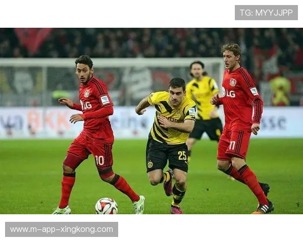 尼斯与弗赖堡历史战绩对比及未来对决展望分析 尼斯与弗赖堡历史战绩对比及未来对决展望分析