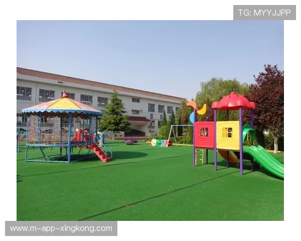 MMA选手综合素质训练成趋势 MMA选手综合素质训练成趋势