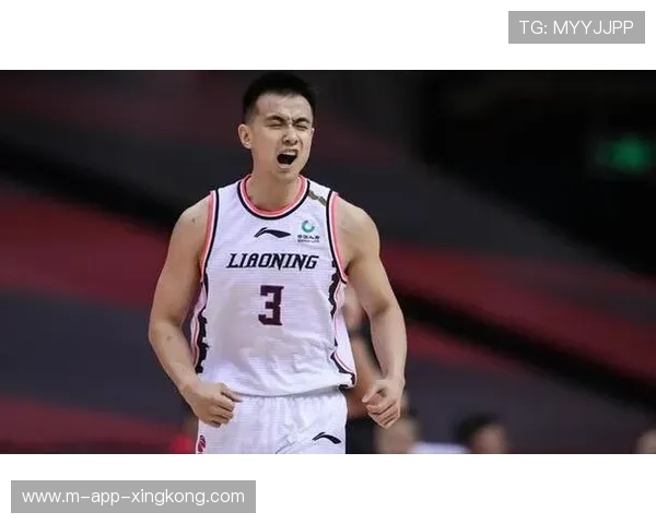 CBA辽宁赵继伟关键压哨命中绝平