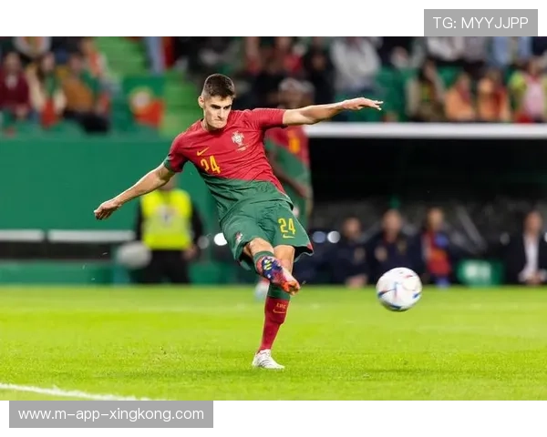 本菲卡若昂内维斯远射窗框入网成为热门回放