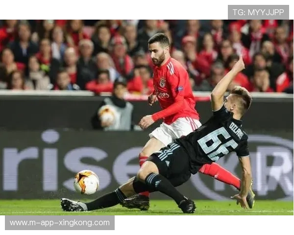 本菲卡若昂头球破网后场面热烈人声鼎沸 本菲卡若昂头球破网后场面热烈人声鼎沸