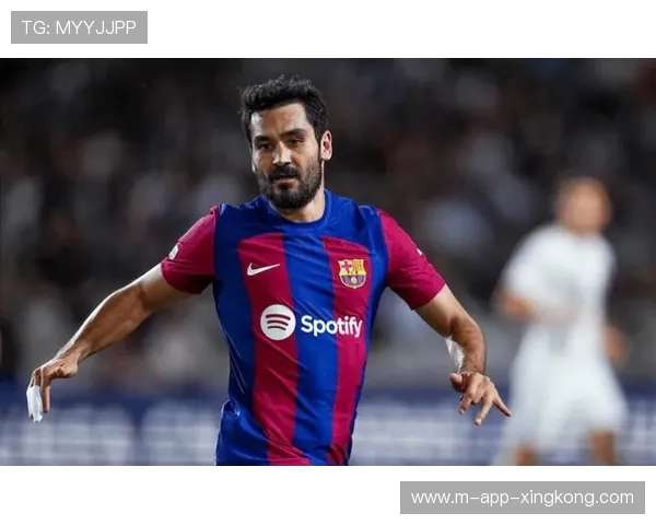 巴萨京多安组织细腻