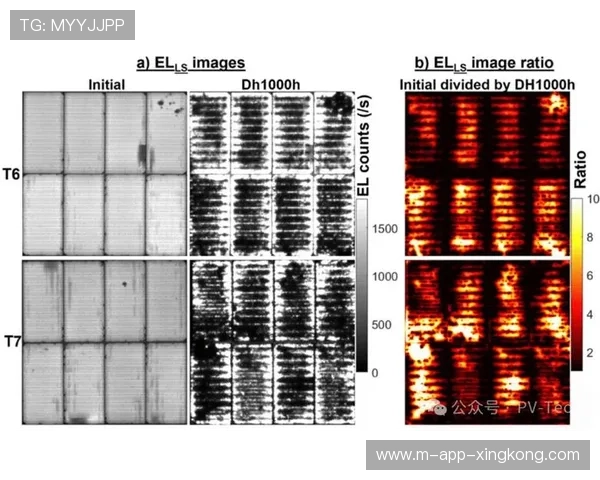 汉密尔顿测试新组件效果显著